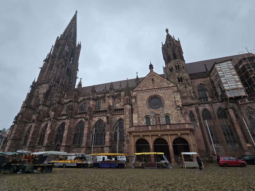 Katedra we Fryburgu (Freiburger Münster)